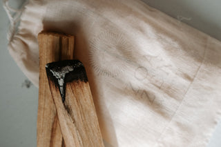 Palo Santo: Heiliges Holz für Reinigung & Balance