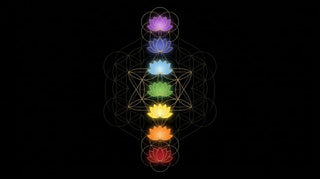 Die 7 Chakren – Lotus-Symbole in Regenbogenfarben