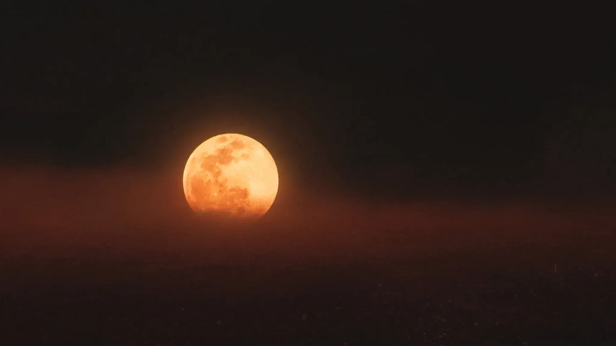 Großer Supermond über dem Horizont