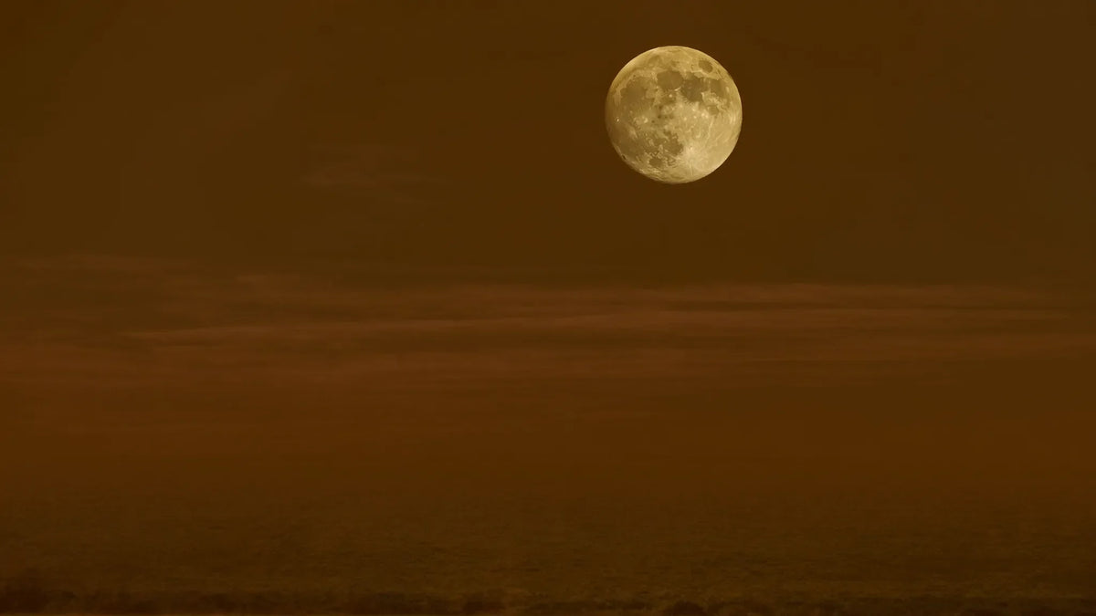 Goldener Vollmond im Löwen über Feldern