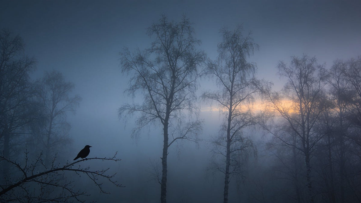 Kahle Winterbäume im dichten Nebel zur blauen Stunde mit einem Raben auf einem Ast – die Schwellenzeit der Rauhnächte