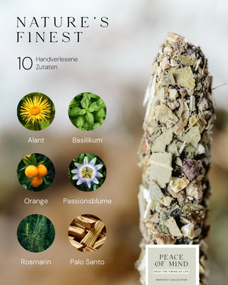 Essential Bundle: Zen Sticks + gratis Palo Santo