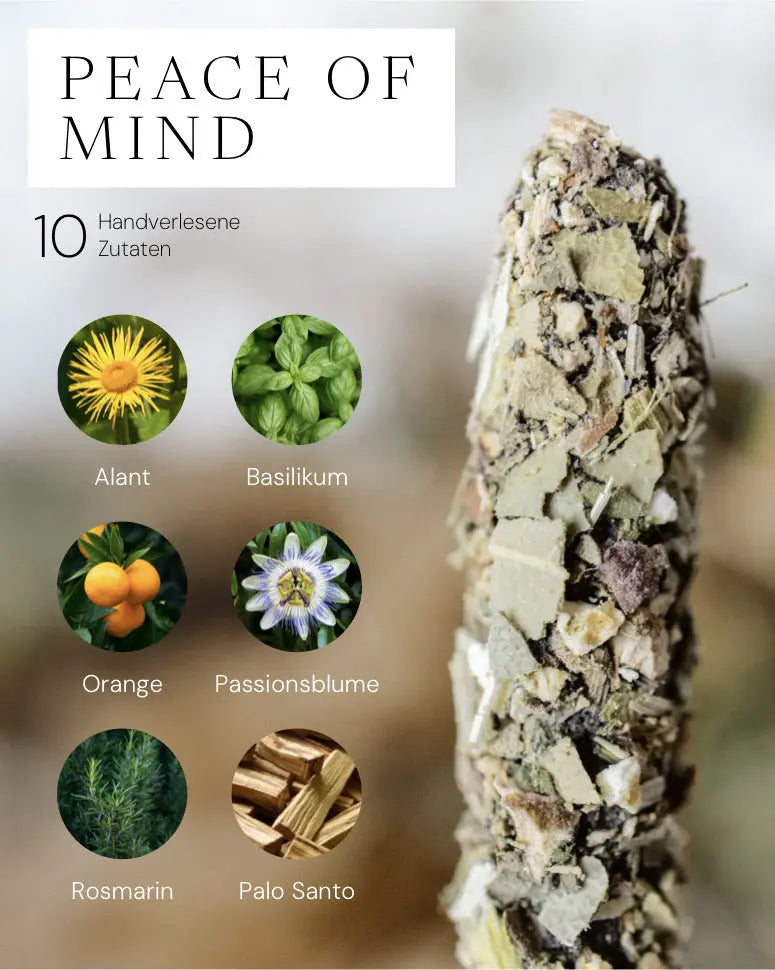 Manifest Zen Sticks Bundle von ZoaZen – Set aus vier natürlichen Räucherstäbchen der Manifest-Kollektion – Verpackung im Detail