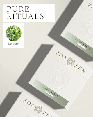 Zen Paper Starter Bundle