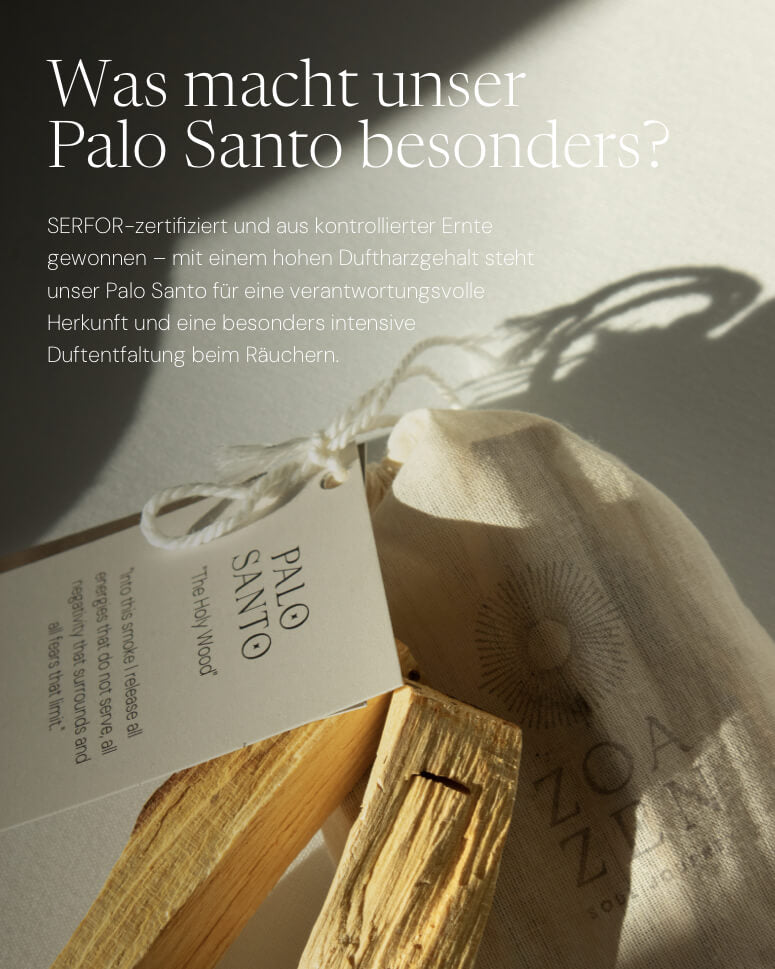 5-7 handverlesene Palo Santo Sticks in einer umweltfreundlichen Verpackung für persönliche Räucherrituale.